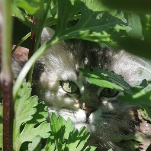 Photo #5792590
