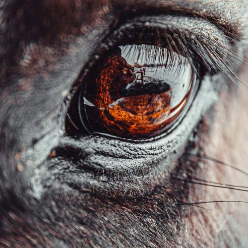 Photo #5792793