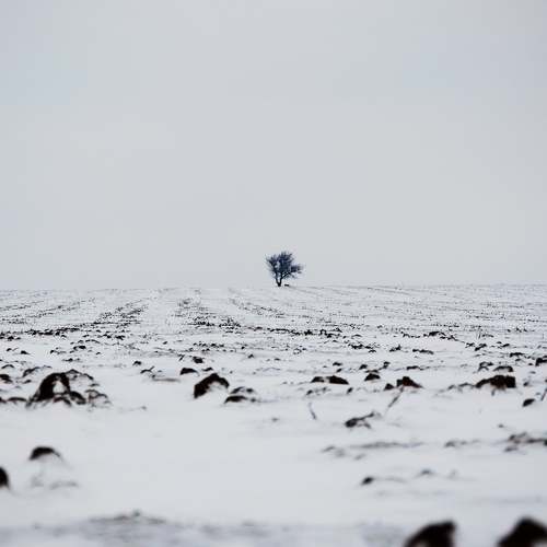 Photo #5792801