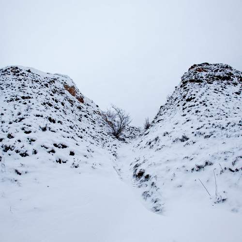 Photo #5792830