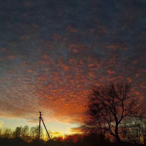 Photo #5792855