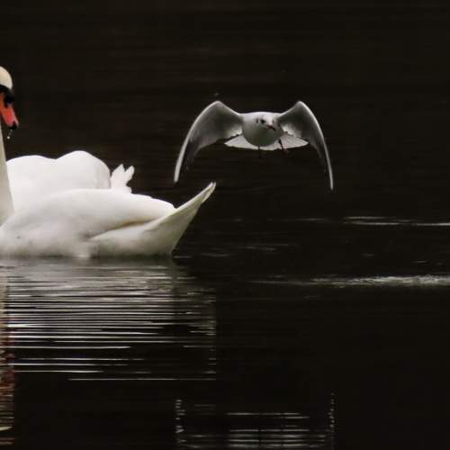 Photo #5792930