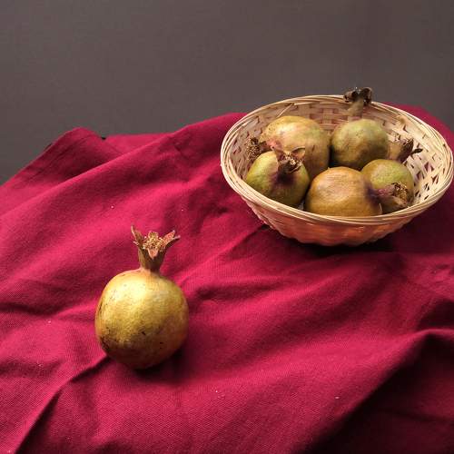Photo #5792949