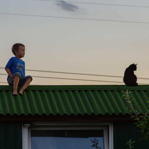 Photo #5793013