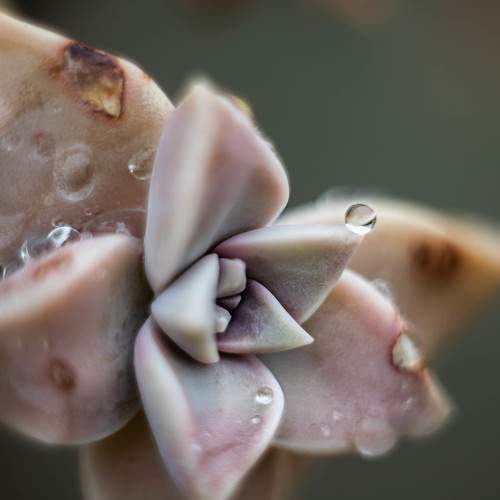 Photo #5793055