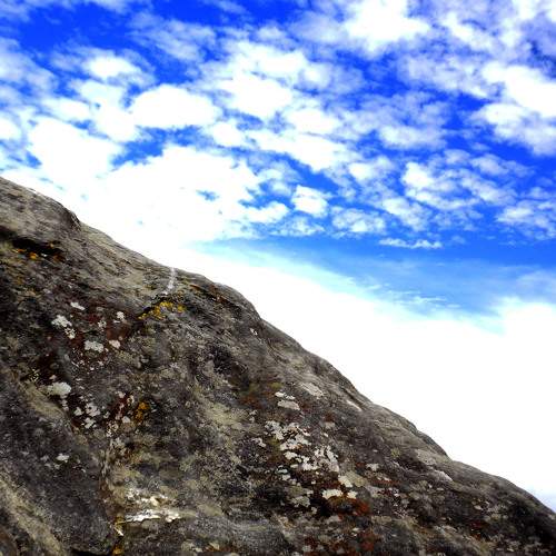 Photo #5793514