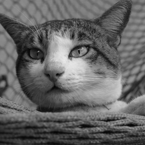 Photo #5793618