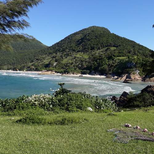 Photo #5793676