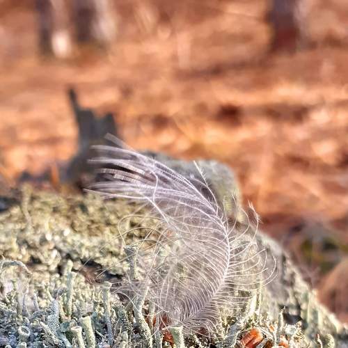 Photo #5793982