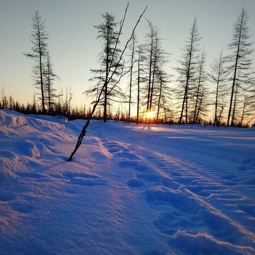 Photo #5794137