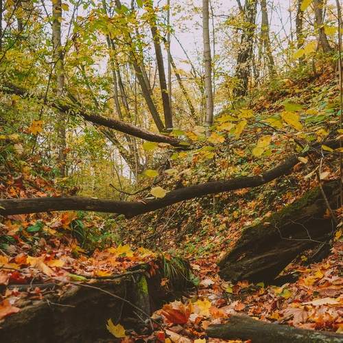 Photo #5794326