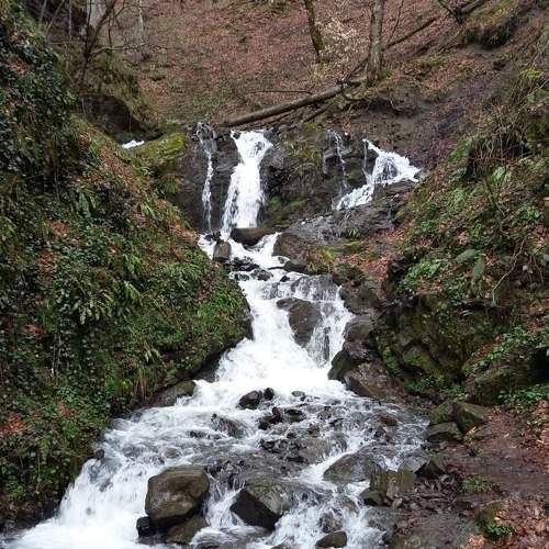 Photo #5794631