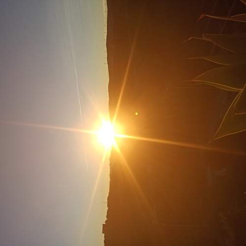 Photo #5794670