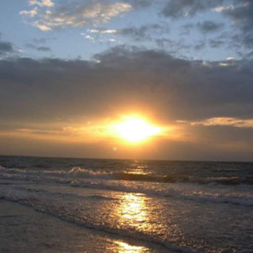 Photo #5794752