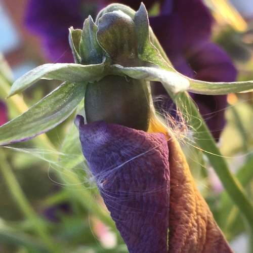 Photo #5794918