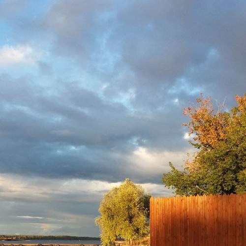 Photo #5795080