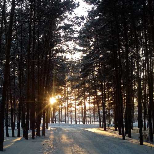 Photo #5795120