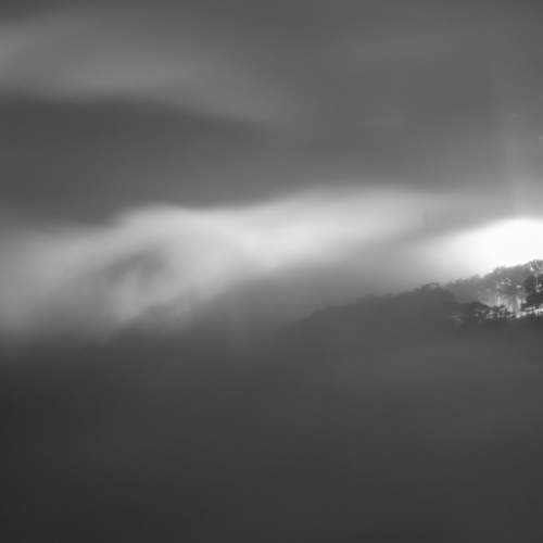 Photo #5795212