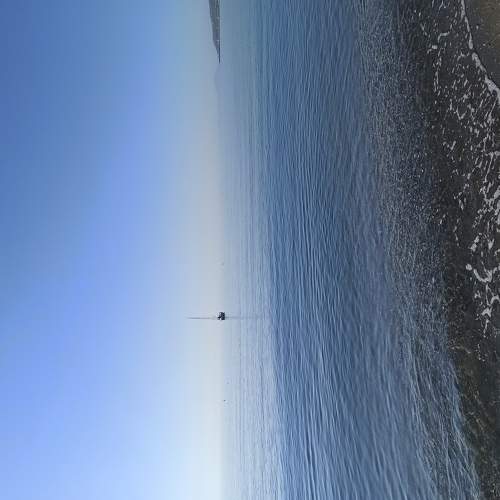 Photo #5795285