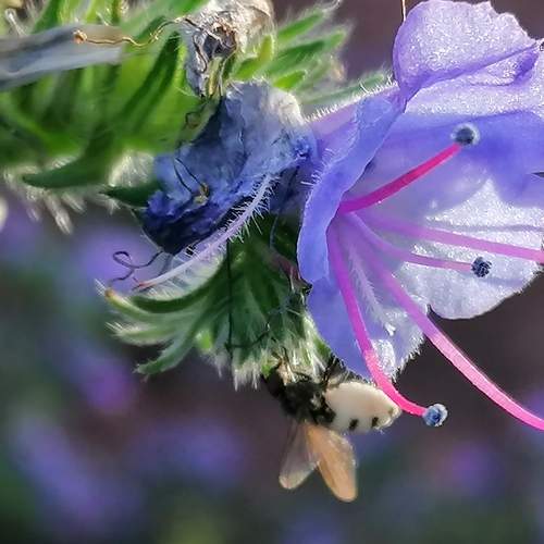 Photo #5795391
