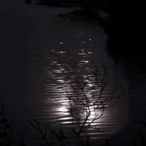 Photo #5795519