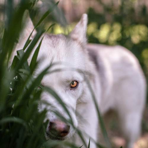 Photo #5795636