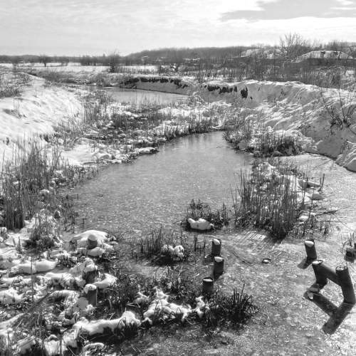 Frozen River