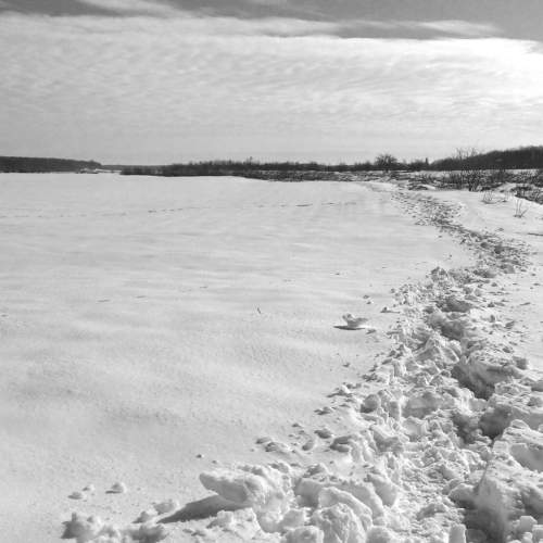 Winter Walk