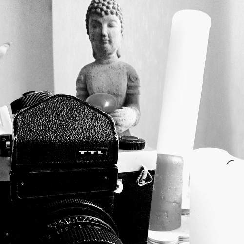 Photo #5796344