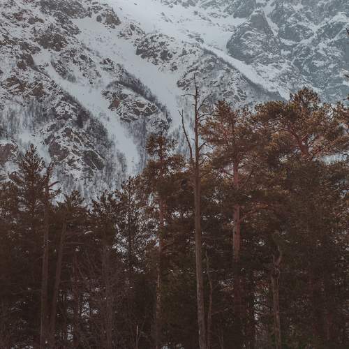 Photo #5796483
