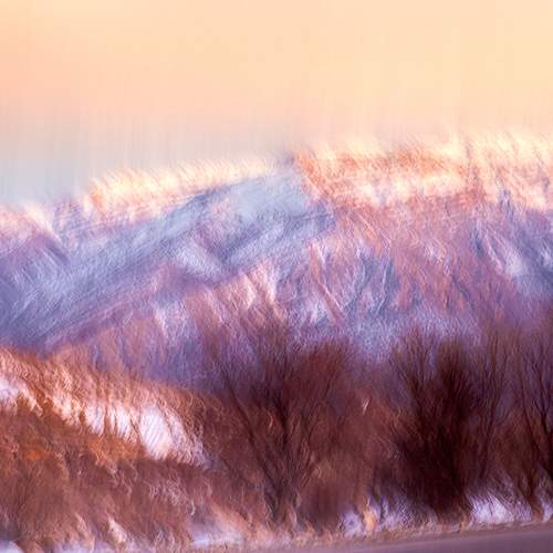 Photo #5796801