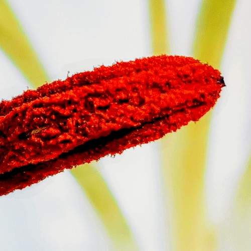 Photo #5796986