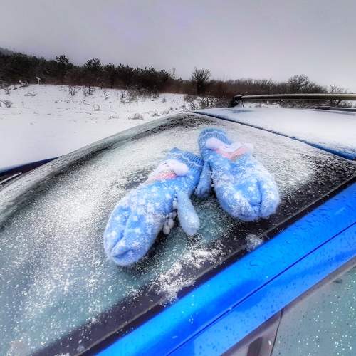 Photo #5797141