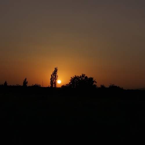 Photo #5797242