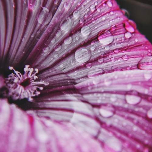 Photo #5797263