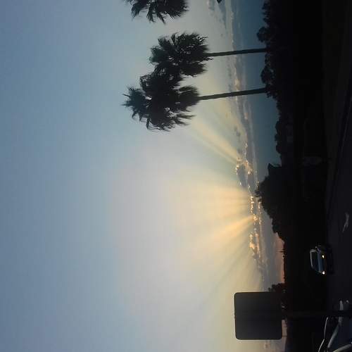 Photo #5797265