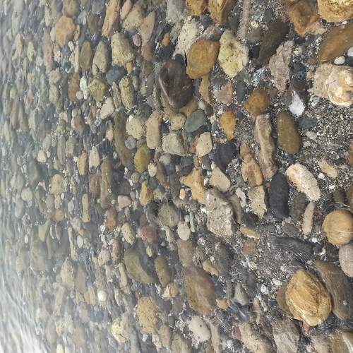 Photo #5797308