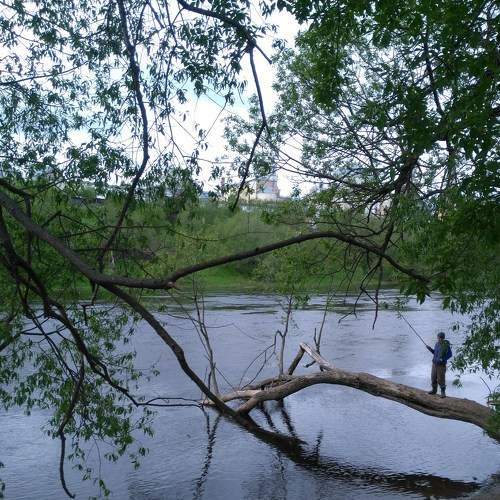 Photo #5797406