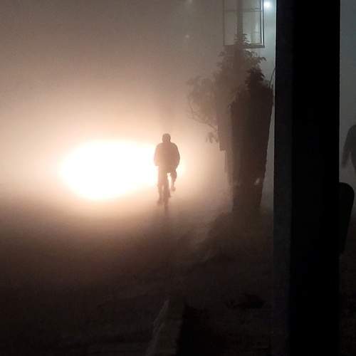 Photo #5797960