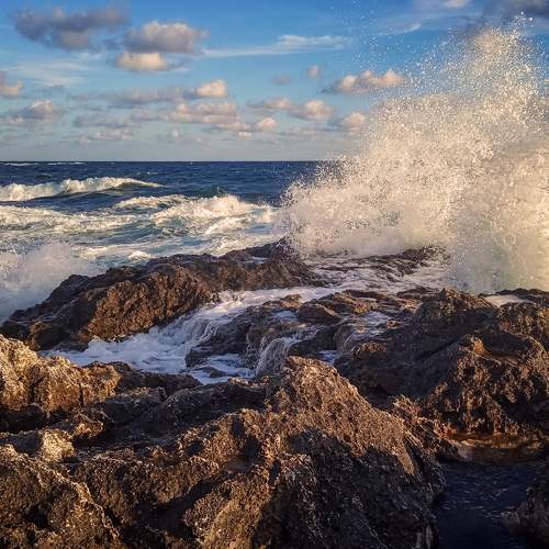 Photo #5798282