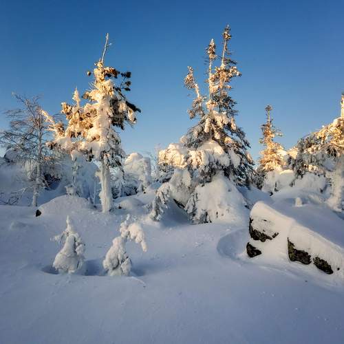 Photo #5798284