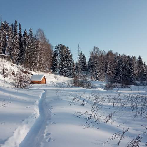 Photo #5798426
