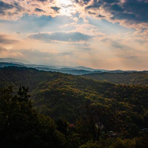 Photo #5798499