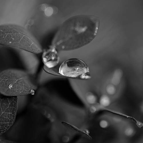 Photo #5798568