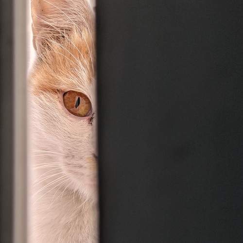 Photo #5798574