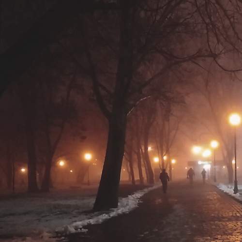 Зимний туман