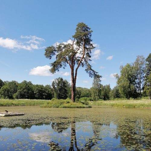 Photo #5799250