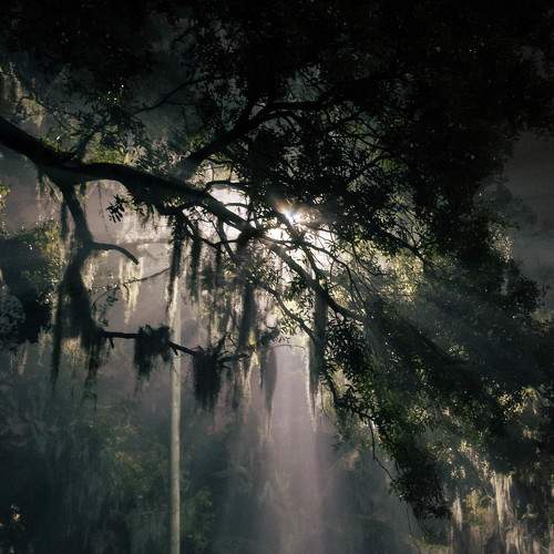 Photo #5799256