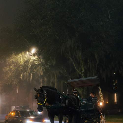Photo #5799264