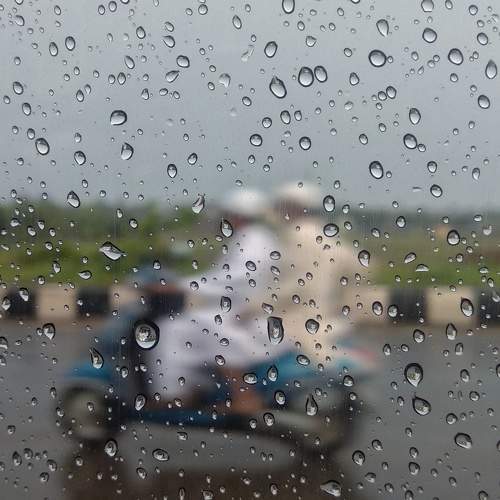Photo #5799269